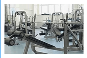 The Gym Doctor Weight Machine Assembly and Relocation Services